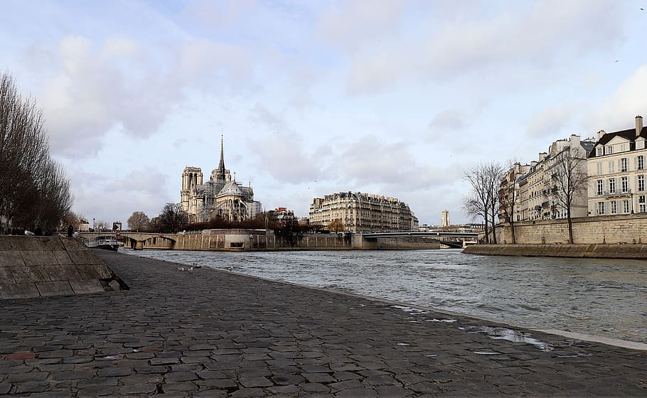 paris, france, quai de seine, île saint-louis, pavers, urban landscape, river, history, city, tourism