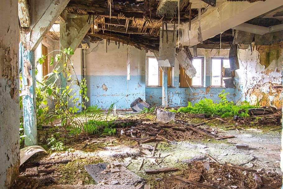 Space, Moss, Plant, Light, Architecture, plant, light, old building, old, historically, leave