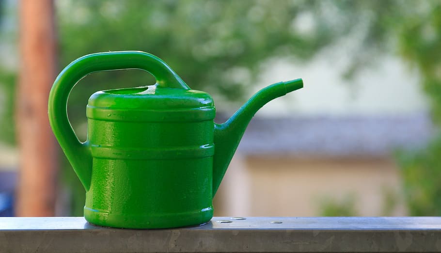 Watering Can, Wet, water, green, drop of water, drip, garden, casting, green color, focus on foreground