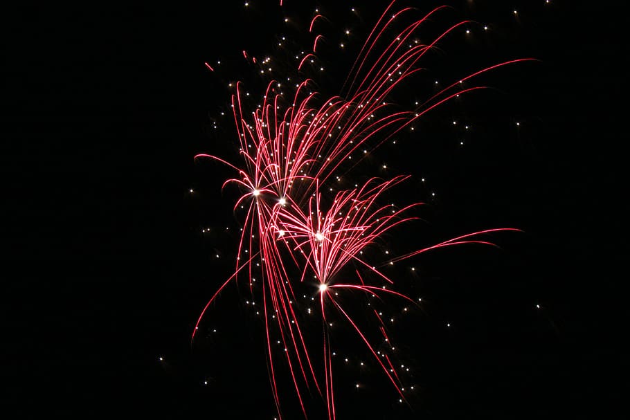 fogo de artifício, noite, festival, evento, ano, celebração, festa, pirotecnia, explodindo, fogo de artifício Exibir