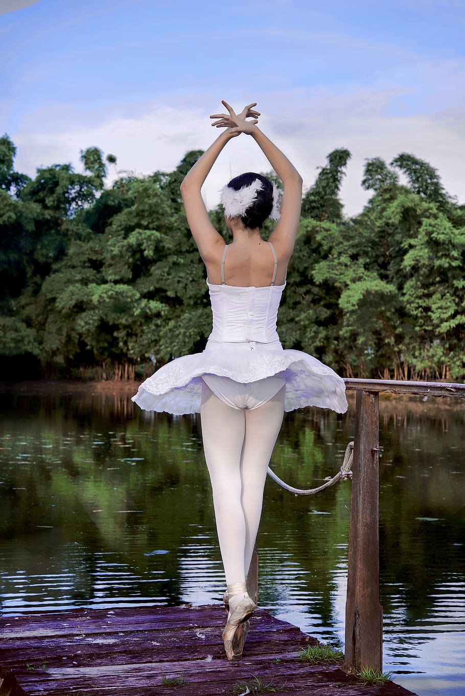 balletistas, balé, parque, natureza, dança, lago, cisne, modelo, fotografia, foto