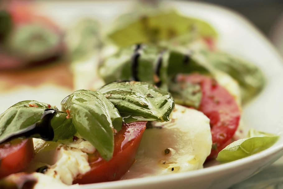 vegetable salad, white, ceramic, plate, ceramic plate, salad, tomato mozzarella, mozzarella, eat, tomatoes