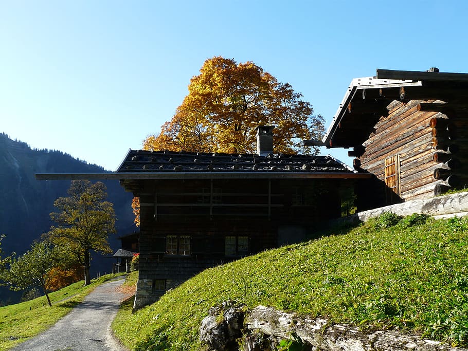 De madera, casas, granjas, gerstruben, casas de madera, museo del pueblo, oberstdorf, allgäu, dieter seebach valley, otoño