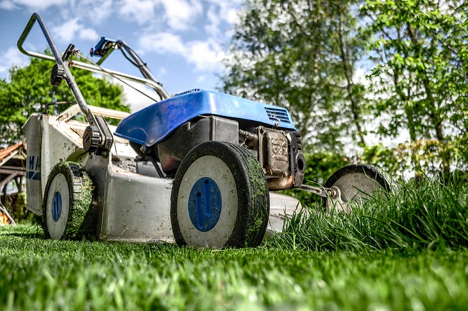 low, angle photography, blue, black, push, mower, gray, lawn, green, grass