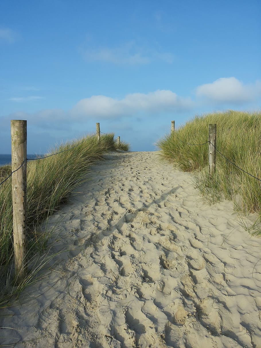 dünenweg, footprints, sand, sea, beach, away, land, plant, sky, tranquility