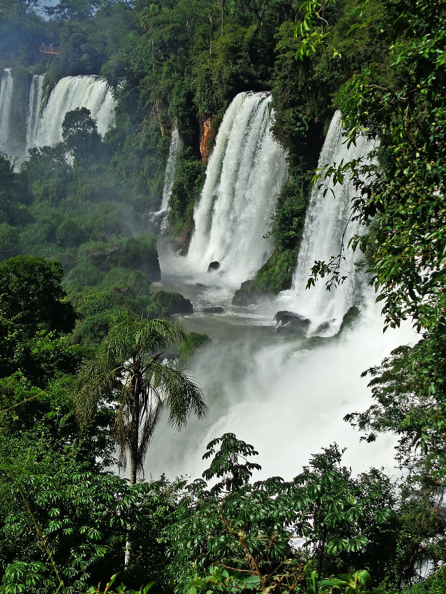 カタラタスドイグアス, ブラジル, 滝, 川, 自然, 水, 森, 木, ストリーム, 風景