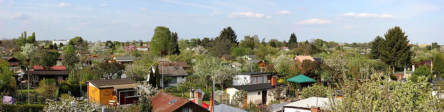 village, trees, blue, sky, Garden Plant, Berlin, Panorama, garden, allotment, focus on foreground