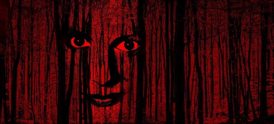 optical, illusion, digital, wallpaper, halloween, face, horror, forest, trees, body