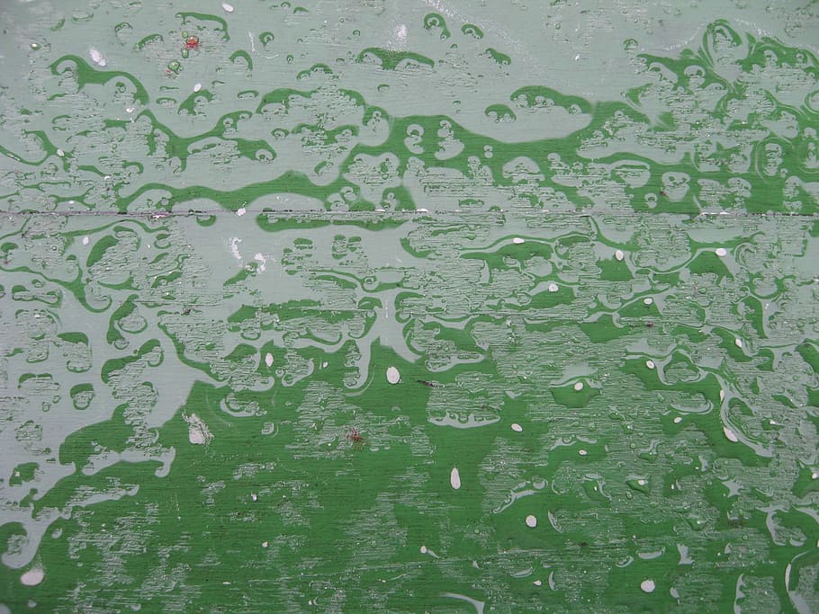 Wet, Drip, Water, Rainy, Weather, rain, rainy weather, board, garden table, green