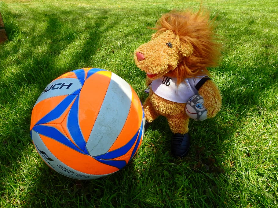 ball, sport, football, leisure, rush, children, teddy bear, stuffed animal, play, mascot