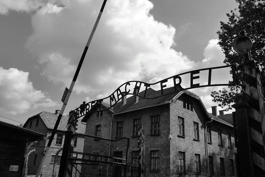 foto em escala de cinza, Machtfrei, Auschwitz, campo de concentração, Polônia, preto e branco, estrutura construída, edifício Exterior, arquitetura e edifícios, ao ar livre