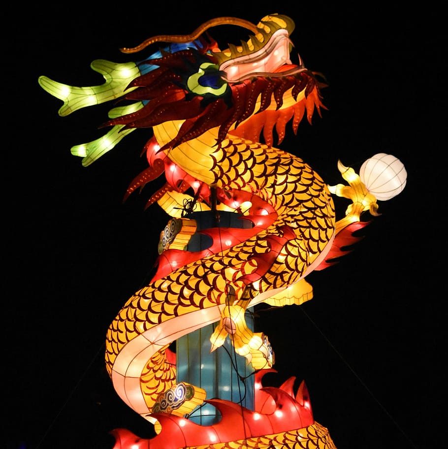 中国のドラゴン, ドラゴン, 照明, 装飾, 雰囲気, ムード照明, ダンス, パフォーマンス, 黒の背景, お祝い