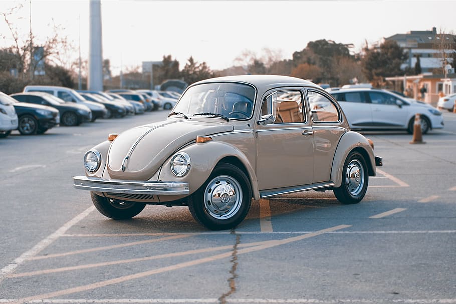 classic, gray, volkswagen beetle coupe, parking lot, city, car, vehicle, vintage, parking, beetle