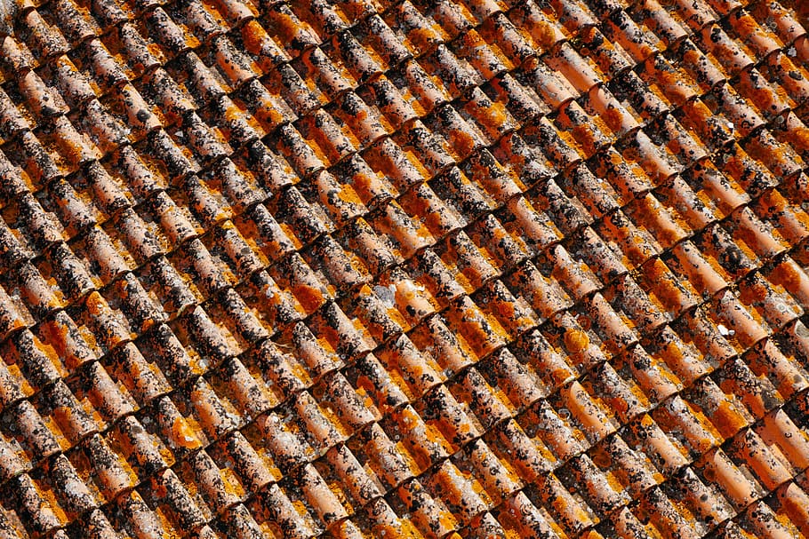 close-up photo, brown, roof, house, rooftop, surface, full frame, backgrounds, textured, pattern