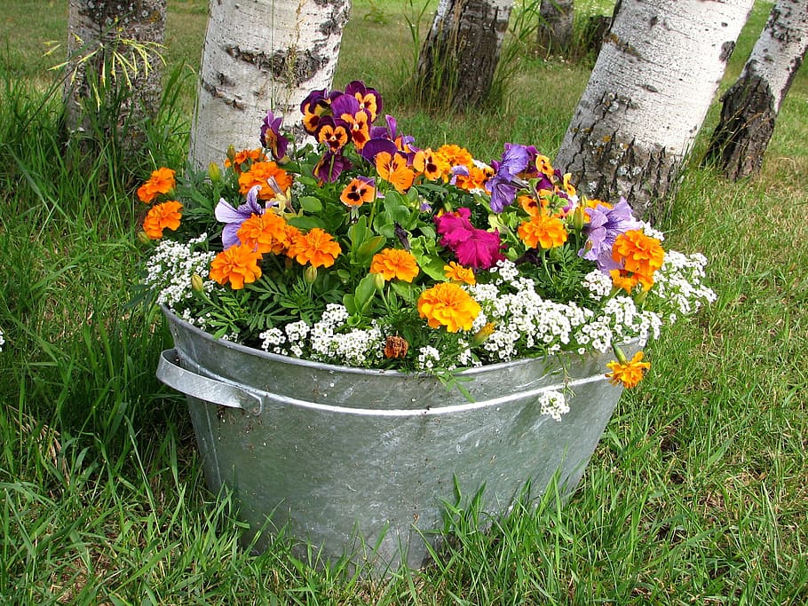 beverage tub, filled, assorted-color flowers, orange, pink, purple, flowers, gray, pot, trees