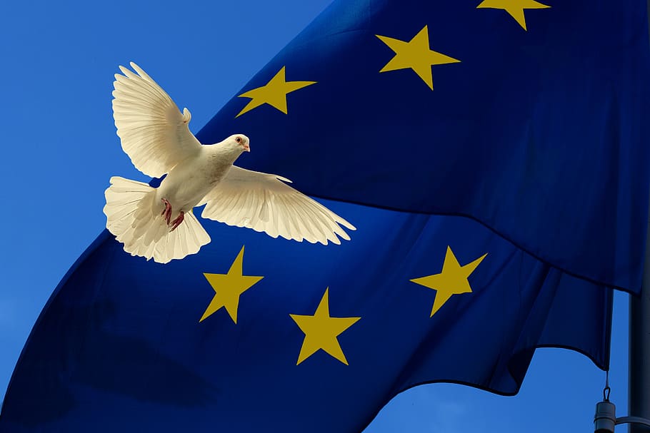 europe, flag, harmony, dove, peace dove, unit, european, brexit, symbol, star