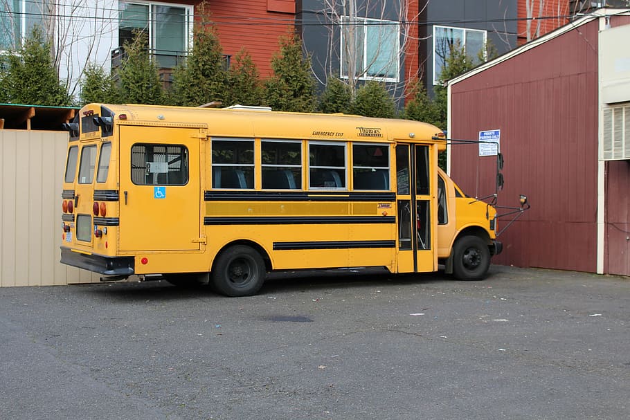 autobús escolar, amarillo, vehículo, transporte, modo de transporte, vehículo terrestre, ciudad, arquitectura, estructura construida, calle