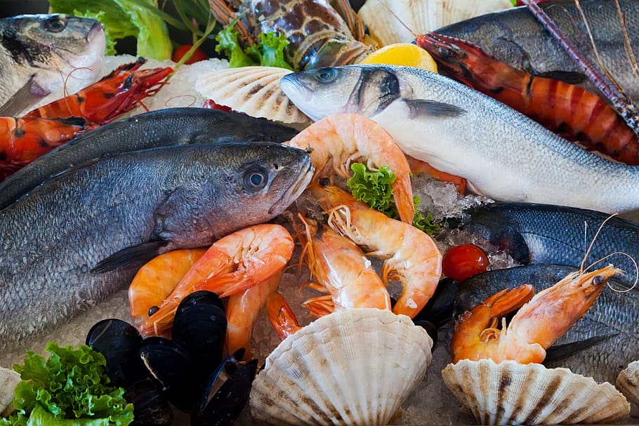 fotografía macro, surtido, mariscos, fotografía, alimentos, saludable, mar, fresco, pescado, restaurante
