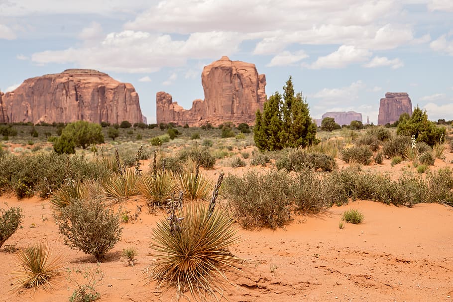monument valley park, az, usa, america, mountains, navajo, the erosion of, landscape, desert, west