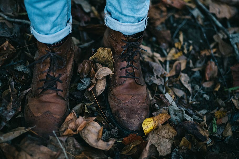 pair, brown, boots, fall, feet, footwear, leaves, shoes, low section, plant part