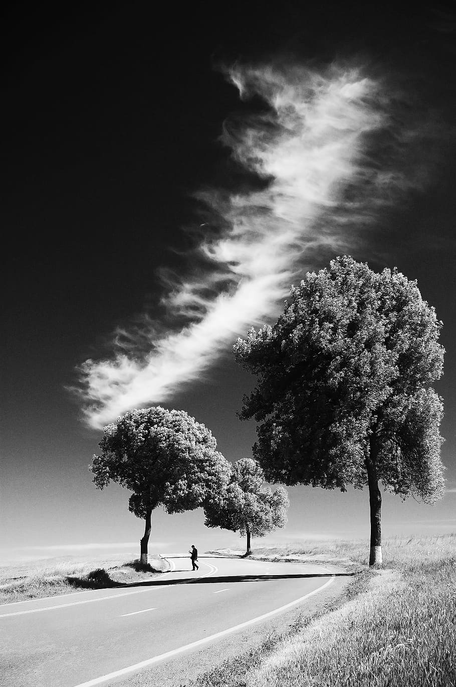 foto em escala de cinza, pessoa, em pé, estrada, árvores, formação de nuvens, topo, preto e branco, solitário, andando