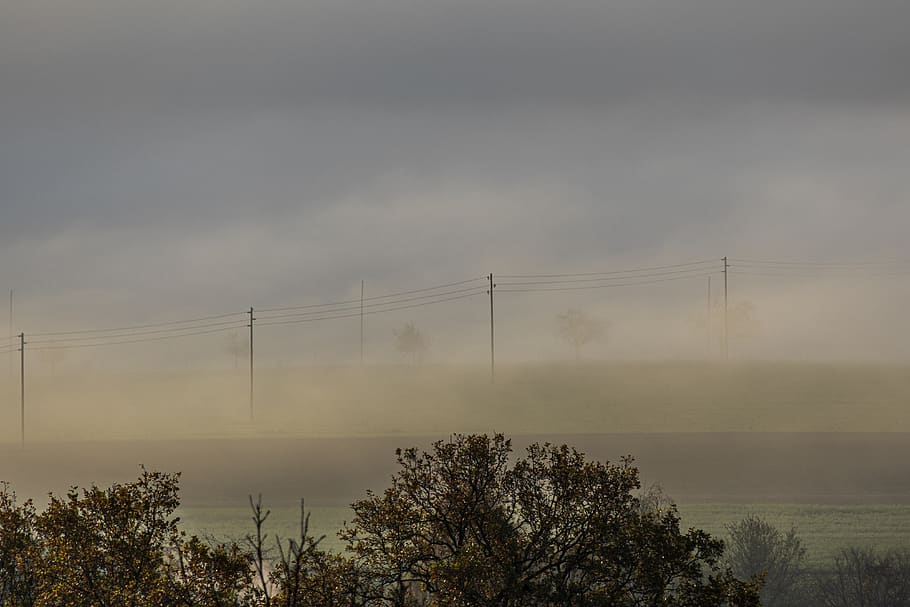 fog, landscape, phone lines, telephone pole, mood, haze, autumn, scenic, nature, twilight