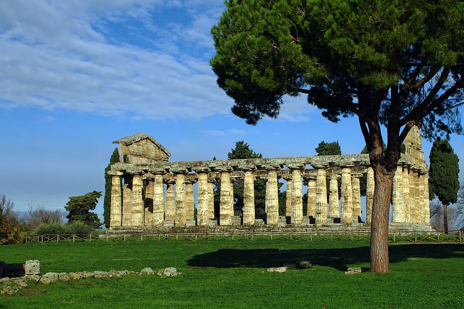paestum, salerno, italy, temple of athena, magna grecia, ancient temple, greek temple, doric style, archaeology, plant