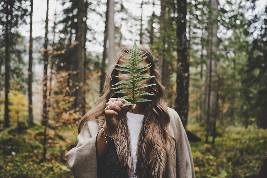 mulher, escondendo, folha, árvore, aventura, trilha, floresta, fêmea, menina, atraente