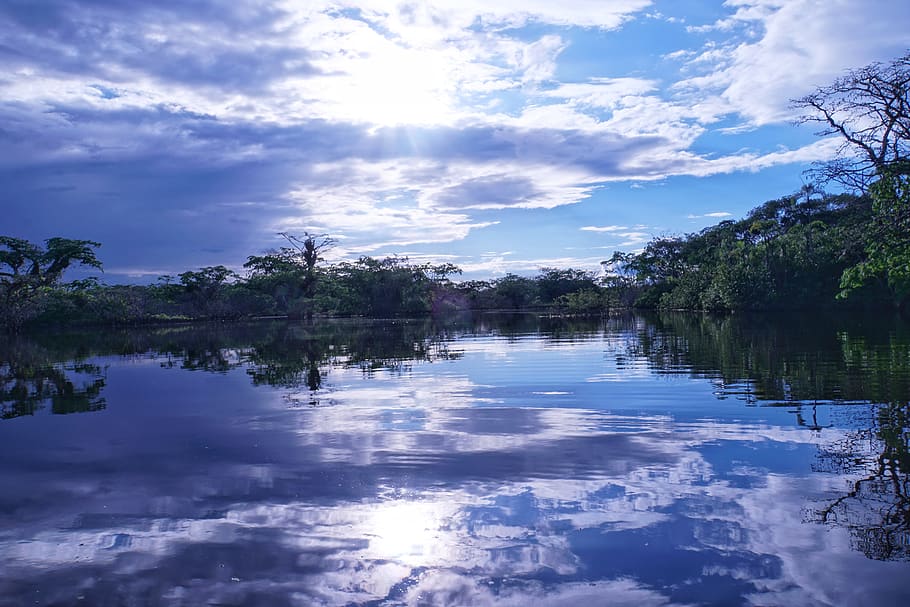 amazônia, equador, pôr do sol, azul, floresta tropical, floresta nativa, água, céu, nuvem - céu, reflexão