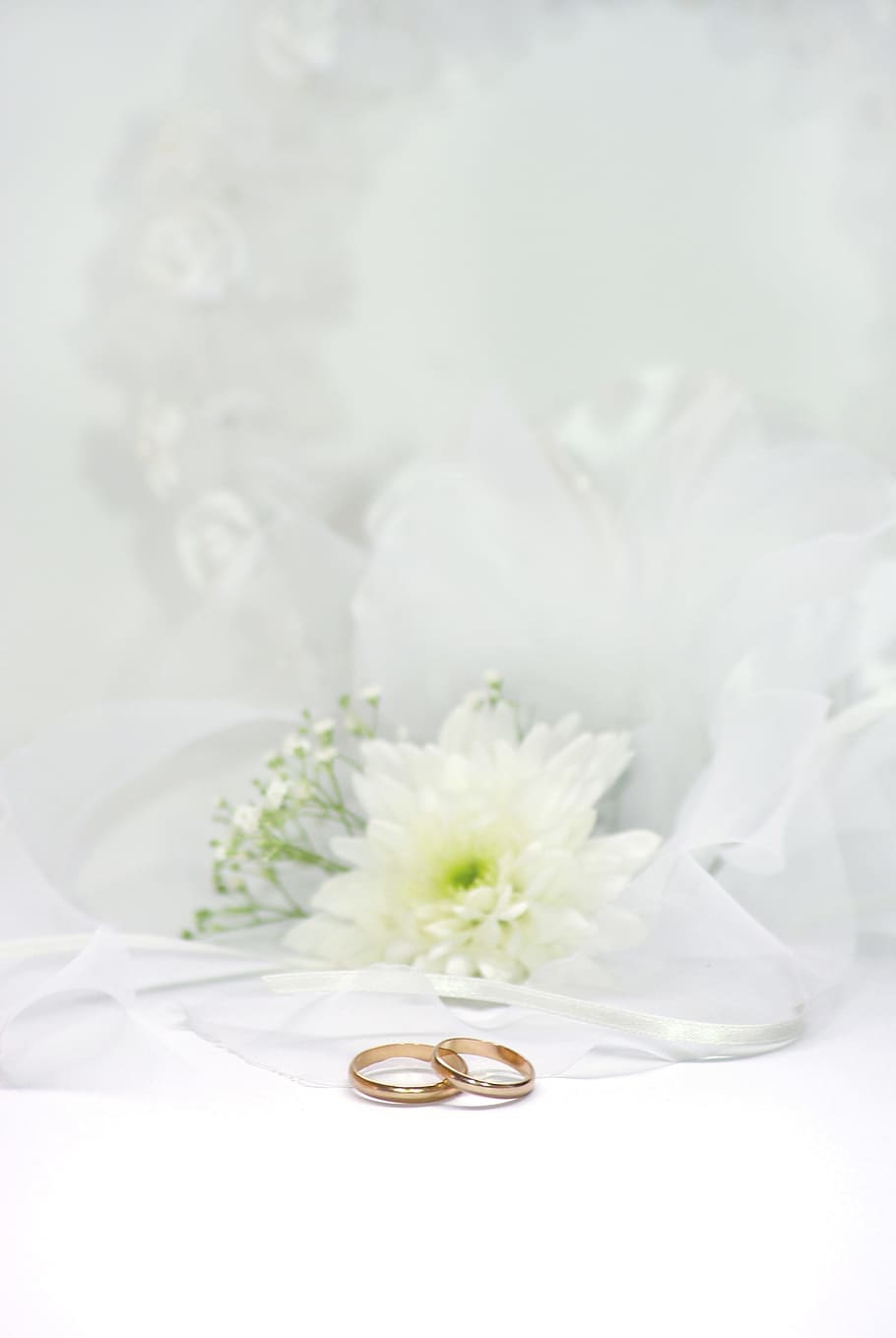 two gold-colored rings, wedding, rings, marry, gold, jewellery, romance, deco, white, flowers