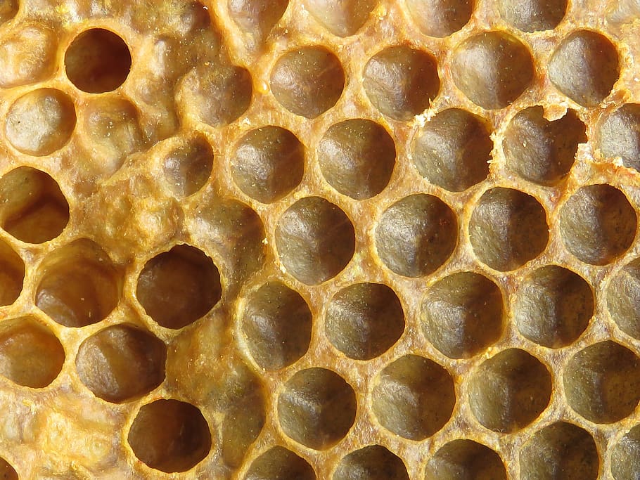 wax, honeycomb bee, radius, beekeeping, bees, natural, honeycomb, pattern, full frame, close-up