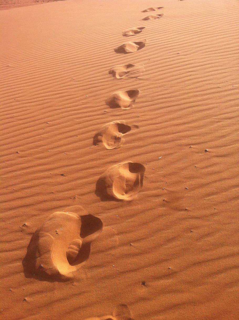 jejak kaki, pasir, siang hari, maroko, perjalanan, afrika, gurun, unta, trek, perjalanan dunia
