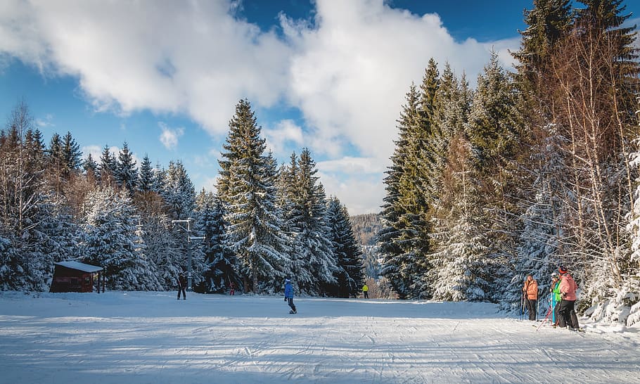 Substance, Slovakia, Skis, Skiing, Snow, winter, mountains, tree, winter sports, it's snowing