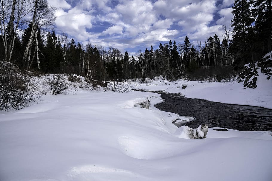 árboles, nieve, hielo, invierno, pintoresco, Parque Estatal Temperance River, Minnesota, nubes, fotos, pino