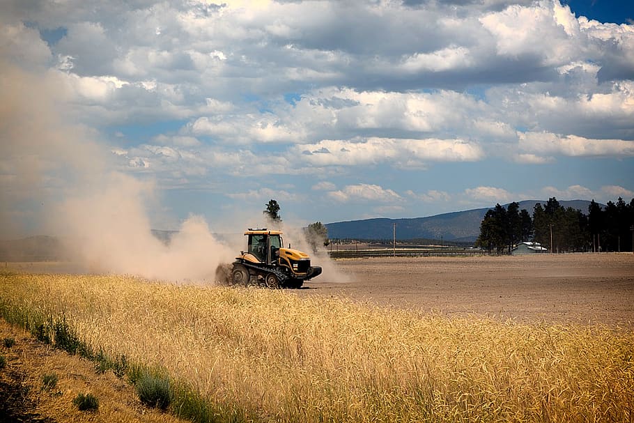 california, rural, farm, farmland, field, wheat, combine, sky, clouds, landscape