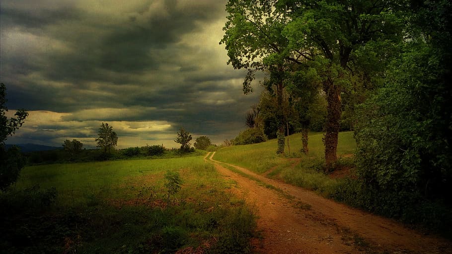 landscape photo, pathway, green, grass, white, clouds, kerala, rain, mansoon, nature
