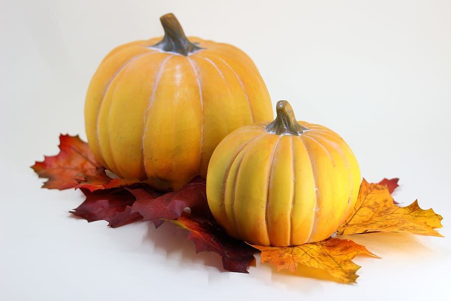 pumpkin, leaves, halloween, autumn, halloweenkuerbis, orange, food, food and drink, celebration, vegetable