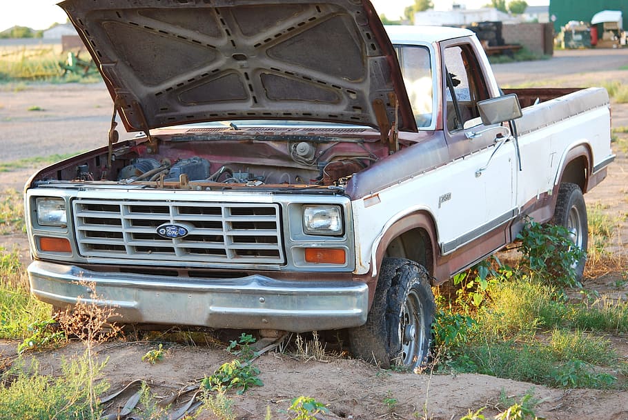 white, single, cab pickup truck, Old, Truck, Ford, Transport, Automotive, junk, rusted