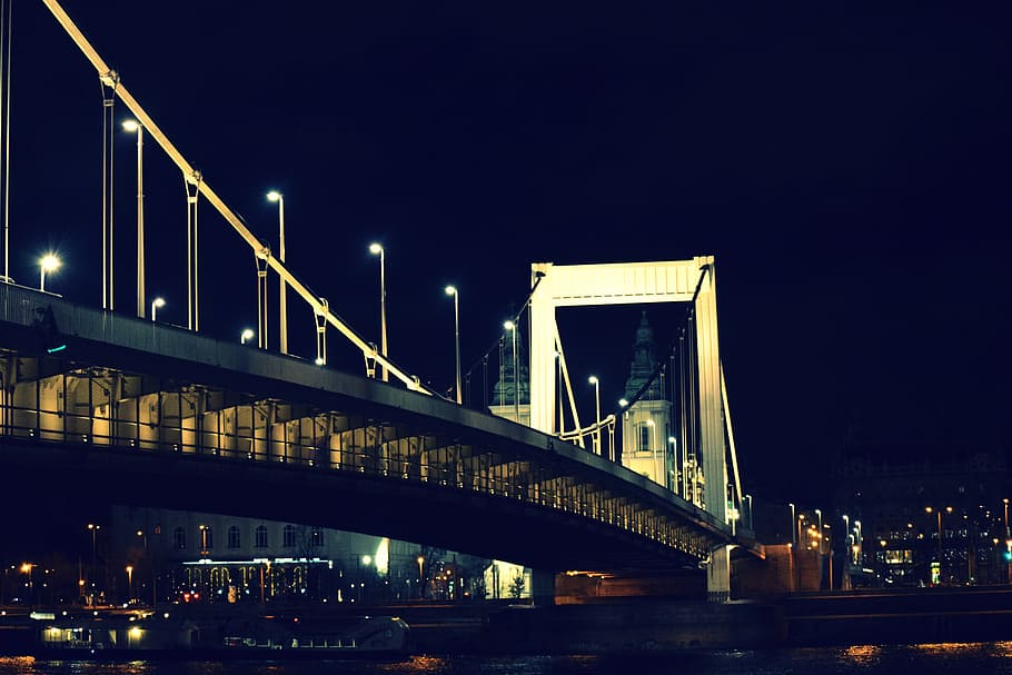 budapest, bridge, elizabeth bridge, at night, night, connection, architecture, bridge - man made structure, built structure, transportation