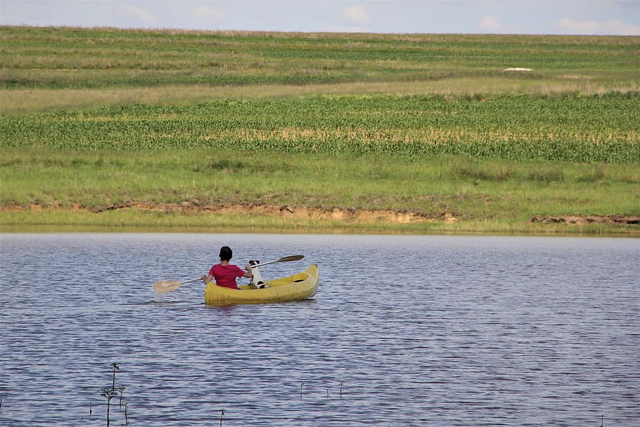 canoe, rowing, yellow, red, dog, child, kayak, canoeing, water, paddle
