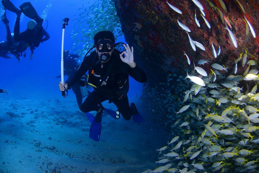 man, wearing, diving, gear, surrounded, fish, dive, blue, diving deep, at the bottom of the ocean