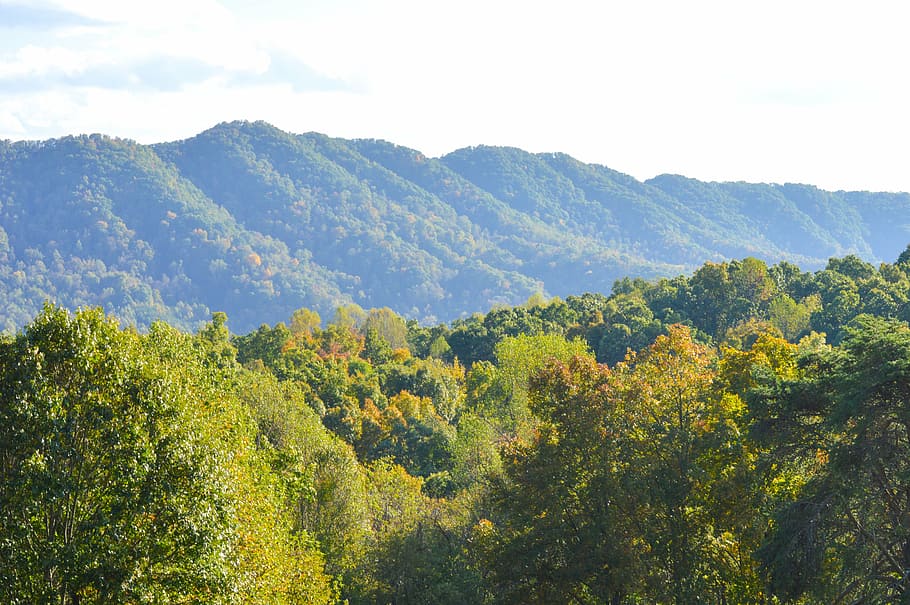 lake, fall, autumn, fall foliage, landscape, nature, scene, mountain, fall background, outdoor