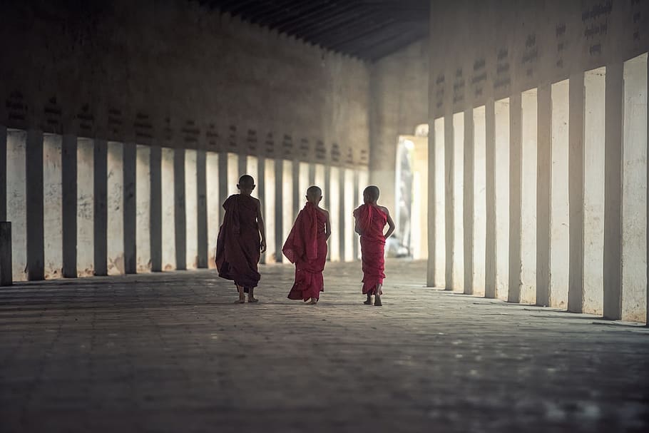 three, buddist monks, walking, asia, burma, faith, boy, buddha, buddhism, buddhist