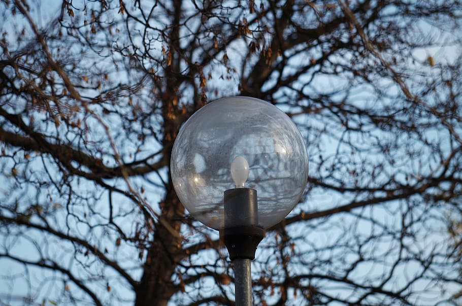 luz, lámpara, árbol, parque, esfera, vista de ángulo bajo, árbol desnudo, rama, naturaleza, nadie