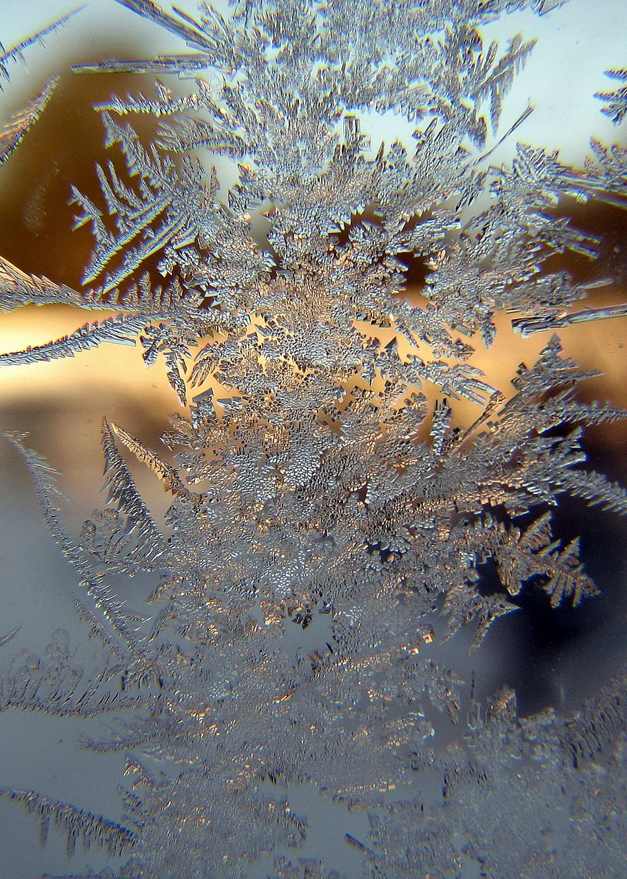 close-up photo, snowflake, winter, light, ice, glass, snow, white, season, cold