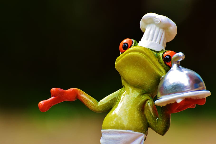 selektif, fotografi fokus, koki katak mata merah, katak, memasak, makan, dapur, gourmet, makanan, persiapan