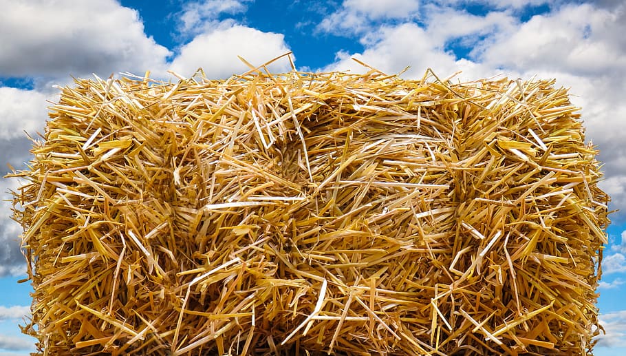 straw bales, autumn, straw, field, harvest, straw role, cornfield, round bales, clouds, agriculture