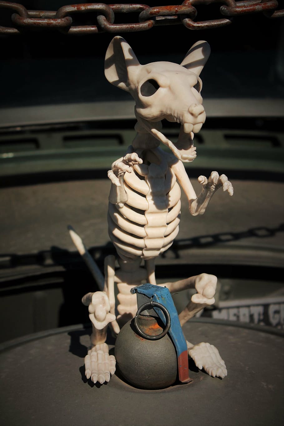 skeleton rat, grenade, insane, creature, dead rat, snarling, vicious, skull face, halloween, halloween background