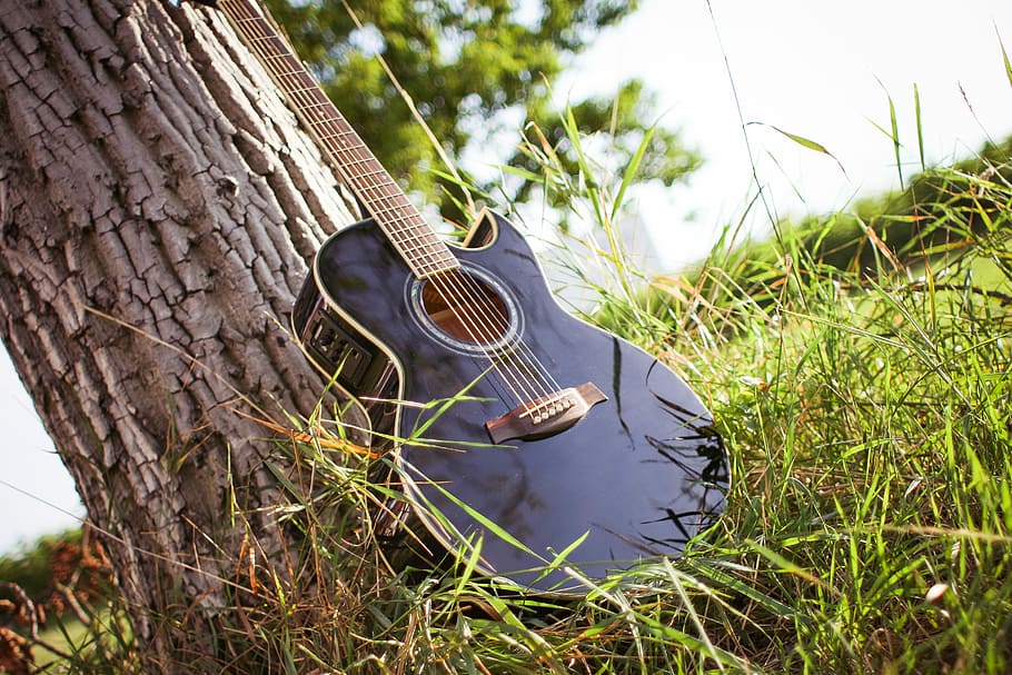 ギター, 日当たりの良い, 草, 木, 屋外, 自然, 音楽, 靴, 夏, 緑の色