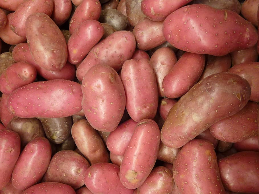 potatoes, spuds, potato, vegetable, organic, nutrition, natural, healthy, root, dinner